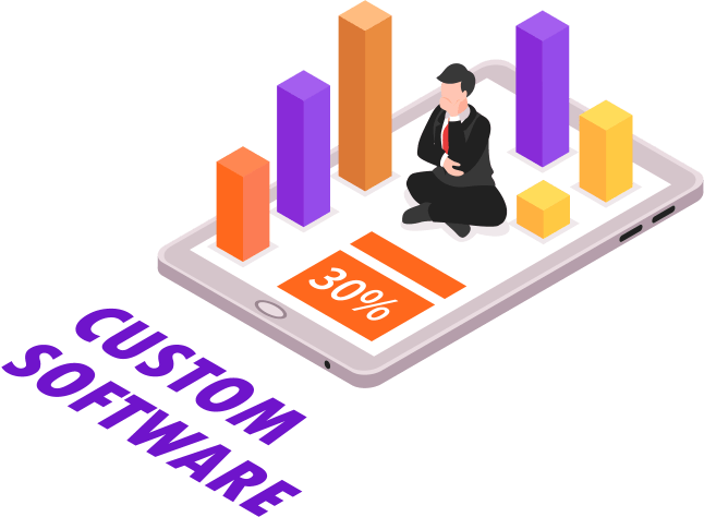 CUSTOM SOFTWARE