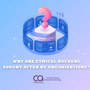 Why Ethical Are Hackers Sought After by Organizations Thumbnail